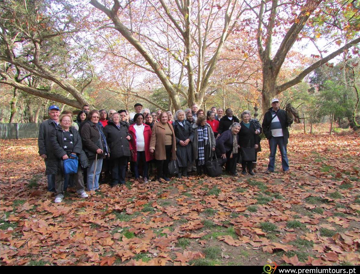 Foto de Grupo