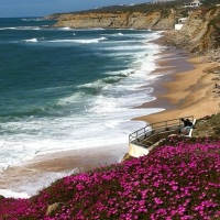 Verão ao Ar Livre em Portugal