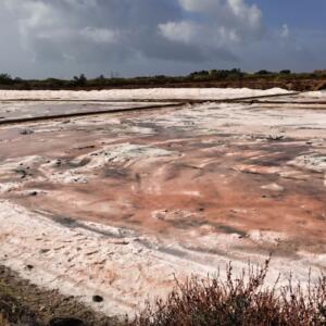 Salt pans