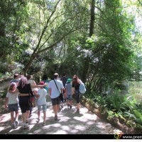 An Unique Visit to the Pena Palace Gardens